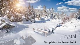  Presentation with snow day - Colorful PPT theme enhanced with exotic-winter-spruces-in-snow backdrop and a light gray colored foreground