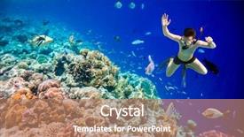  Presentation with brain and spinal cord - Amazing PPT theme having feeding winter birds concept great tits parus major getting sunflower seeds and cedar nuts at a wooden bird feeder backdrop and a tawny brown colored foreground.