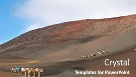  Presentation with expedition - Colorful PPT layouts enhanced with expedition-of-camels backdrop and a tawny brown colored foreground