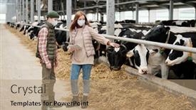  Presentation with task - Colorful PPT theme enhanced with experienced-female-farmer-in-mask backdrop and a coral colored foreground