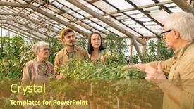  Presentation with greenhouse - Audience pleasing PPT theme consisting of experienced-senior-man-standing backdrop and a tawny brown colored foreground
