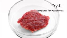  Presentation with petri dish - Beautiful slides featuring experimental - piece of meat in petri backdrop and a white colored foreground