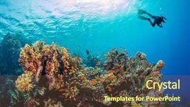  Presentation with flora fauna - Slide deck with exploring coral reef underwater fauna background and a tawny brown colored foreground