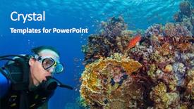  Presentation with flora fauna - Audience pleasing slides consisting of exploring coral reef underwater fauna backdrop and a teal colored foreground