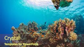  Presentation with flora fauna - Slides enhanced with exploring coral reef underwater fauna background and a tawny brown colored foreground
