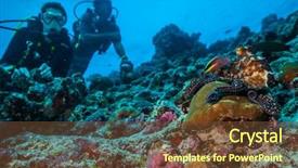  Presentation with divers - PPT theme consisting of exploring coral reef with octopus background and a  colored foreground