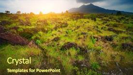  Presentation with volcano - Colorful PPT theme enhanced with explosiv growing - plants among rocks on volcano backdrop and a tawny brown colored foreground