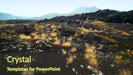  Presentation with horizon - PPT layouts consisting of explosiv growing - yellow plant on volcano soil background and a tawny brown colored foreground