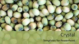  Presentation with traditional chinese medicine - Slide set with agricultural extension - lotus seed lian zi background and a  colored foreground