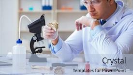  Presentation with history animal - Slide set featuring rare history - paleontologist looking at extinct animal background and a light blue colored foreground