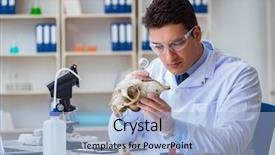  Presentation with bone clipart - Presentation theme consisting of paleontologist looking at extinct animal background and a light blue colored foreground