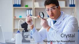  Presentation with cranio bone - Colorful PPT layouts enhanced with paleontologist looking at extinct animal backdrop and a light blue colored foreground