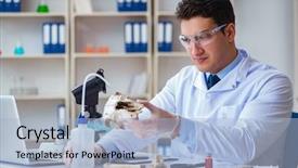  Presentation with hip bone - Beautiful slide set featuring paleontologist looking at extinct animal backdrop and a light blue colored foreground