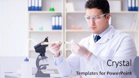  Presentation with extinct dodo - PPT theme consisting of paleontologist looking at extinct animal background and a light blue colored foreground