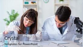  Presentation with animals - Colorful slide set enhanced with bones of extinct animals backdrop and a  colored foreground