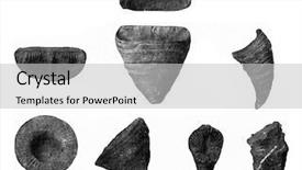  Presentation with humanity - PPT theme with corals from the paleozoic era background and a light gray colored foreground