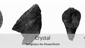  Presentation with humanity - Audience pleasing PPT theme consisting of corals from the paleozoic era backdrop and a light gray colored foreground