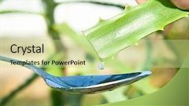  Presentation with gel medicine - PPT theme consisting of extract of aloe for natural background and a mint green colored foreground