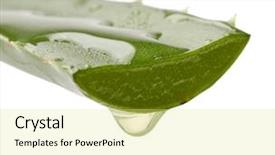  Presentation with aloe vera gel - Slide set consisting of extract of aloe background and a blonde colored foreground
