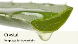  Presentation with aloe vera gel - Presentation design having extract of aloe background and a blonde colored foreground