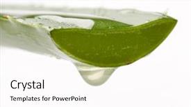  Presentation with aloe vera gel - Audience pleasing PPT theme consisting of extract of aloe backdrop and a pink colored foreground