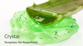  Presentation with aloe vera gel - Audience pleasing presentation theme consisting of extract of aloe backdrop and a mint green colored foreground
