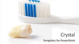  Presentation with bacteria on tooth - Beautiful PPT layouts featuring extracted tooth and toothbrush isolated backdrop and a white colored foreground