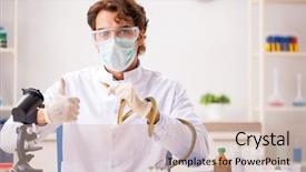  Presentation with drug poison - Audience pleasing presentation consisting of extraction - male scientist extracting poison backdrop and a soft green colored foreground