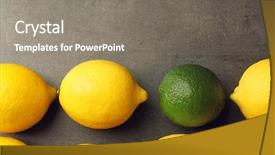  Presentation with lemons - PPT layouts consisting of extraordinary - one lime among lemons background and a gray colored foreground