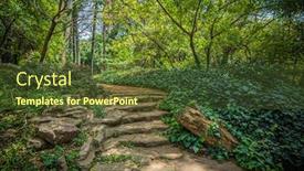  Presentation with path - PPT theme consisting of extraordinary-path-in-the-summer background and a tawny brown colored foreground