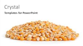  Presentation with corn - Audience pleasing slides consisting of extreme-close-up-image backdrop and a white colored foreground