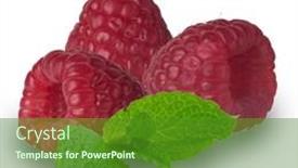  Presentation with extreme - Beautiful PPT theme featuring extreme close-up image of raspberries studio isolated on white background backdrop and a tawny brown colored foreground