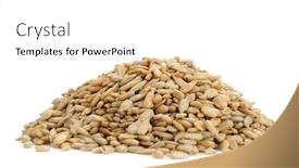  Presentation with sunflower sunflower sunflower sunflower sunflower - Presentation enhanced with extreme close-up image of sunflower seeds on white background background and a white colored foreground