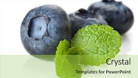  Presentation with blueberries - Cool new slides with extreme close-up image of blueberries and mint studio isolated on white background backdrop and a yellow colored foreground