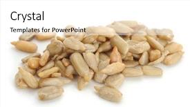 Presentation with sunflower - PPT layouts consisting of up image of sunflower seeds background and a white colored foreground
