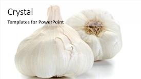  Presentation with garlic - Theme enhanced with extreme close-up image of garlic studio isolated on white background background and a white colored foreground
