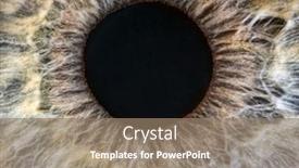  Presentation with human eye - PPT theme enhanced with extreme-close-up-of-human background and a coral colored foreground