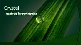  Presentation with water droplet - Slide deck having extreme close up of water background and a forest green colored foreground