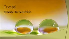  Presentation with water droplets - Slides consisting of extreme-close-up-shot background and a gold colored foreground