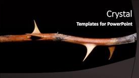  Presentation with extreme - Colorful slide deck enhanced with extreme-close-up-shot backdrop and a black colored foreground