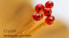  Presentation with jewelry - Amazing slide set having extreme-close-up-shot backdrop and a gold colored foreground