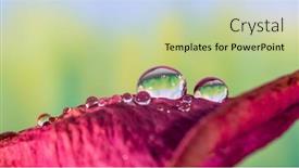  Presentation with water droplets - Presentation having extreme-close-up-shot background and a mint green colored foreground