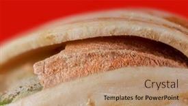  Presentation with extreme - Slide set enhanced with extreme-close-up-shot background and a coral colored foreground