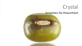  Presentation with green gram - Theme enhanced with extreme-close-up-shot background and a white colored foreground