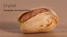  Presentation with extreme - PPT theme enhanced with extreme-close-up-shot background and a coral colored foreground