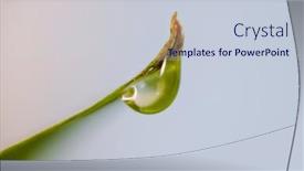  Presentation with water droplet - Theme having extreme-close-up-shot background and a lemonade colored foreground