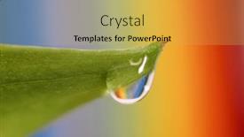  Presentation with water droplet - PPT theme with extreme-close-up-shot background and a yellow colored foreground