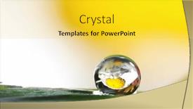  Presentation with water droplet - PPT layouts enhanced with extreme-close-up-shot and a yellow colored foreground