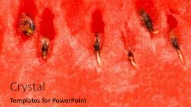  Presentation with extreme - PPT theme enhanced with extreme close up of the red watermelon background and a red colored foreground