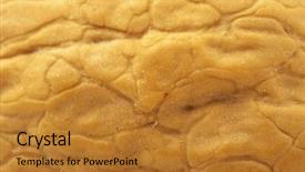  Presentation with nut - Slides having extreme closeup of a nut shell texture background and a gold colored foreground
